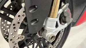 Ducati Superleggera 1299 (2017)  (16)