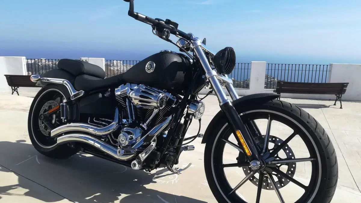 Harley-Davidson 1690 Breakout (2013 - 17) - FXSB  (3)