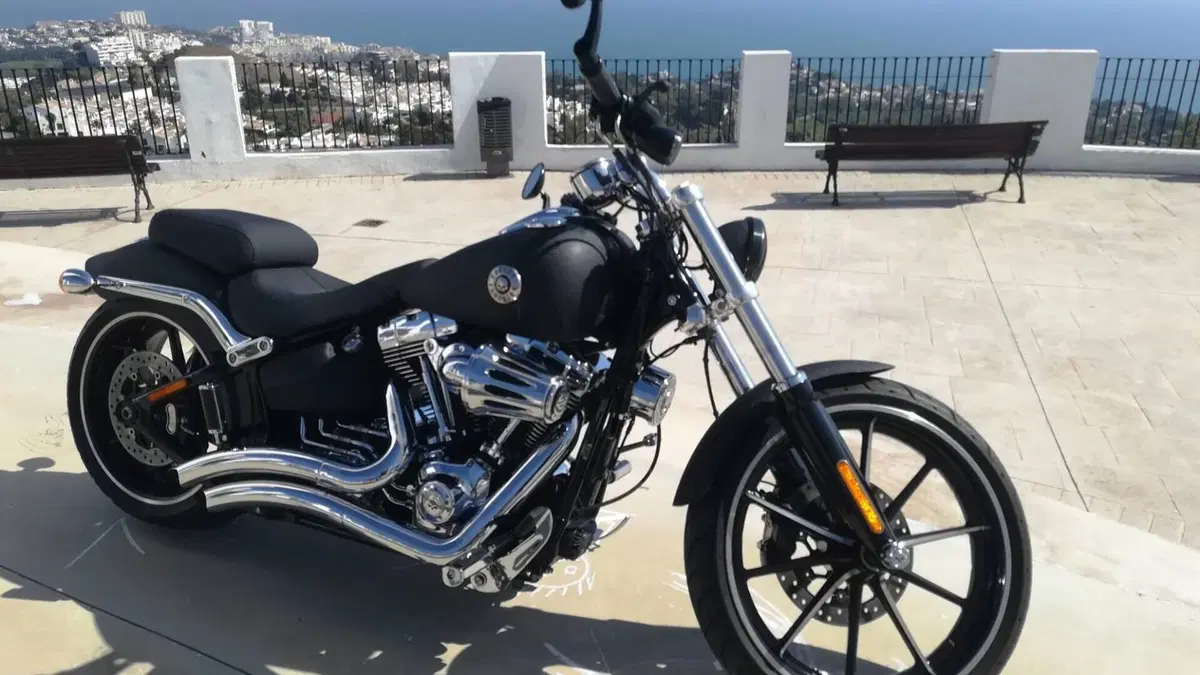 Harley-Davidson 1690 Breakout (2013 - 17) - FXSB  (4)