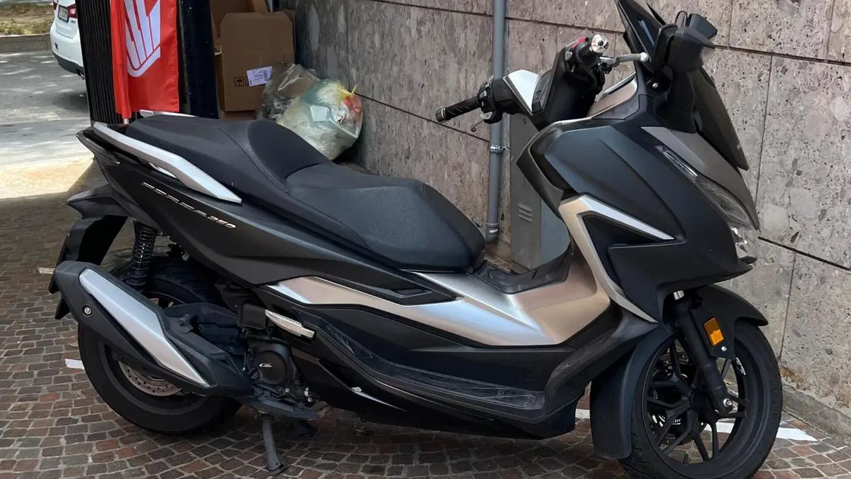 Honda Forza 350 (2022 - 24)  (2)