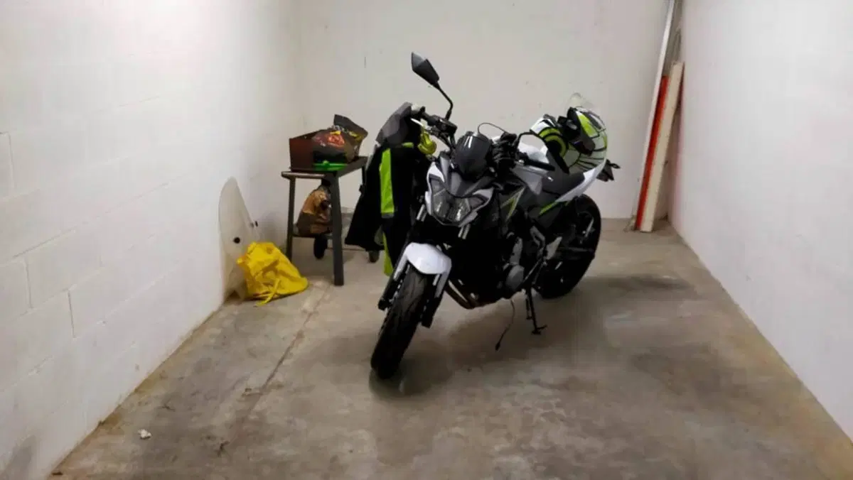 Kawasaki Z 650 (2017 - 19)  (7)