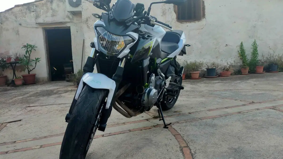 Kawasaki Z 650 (2017 - 19)  (15)