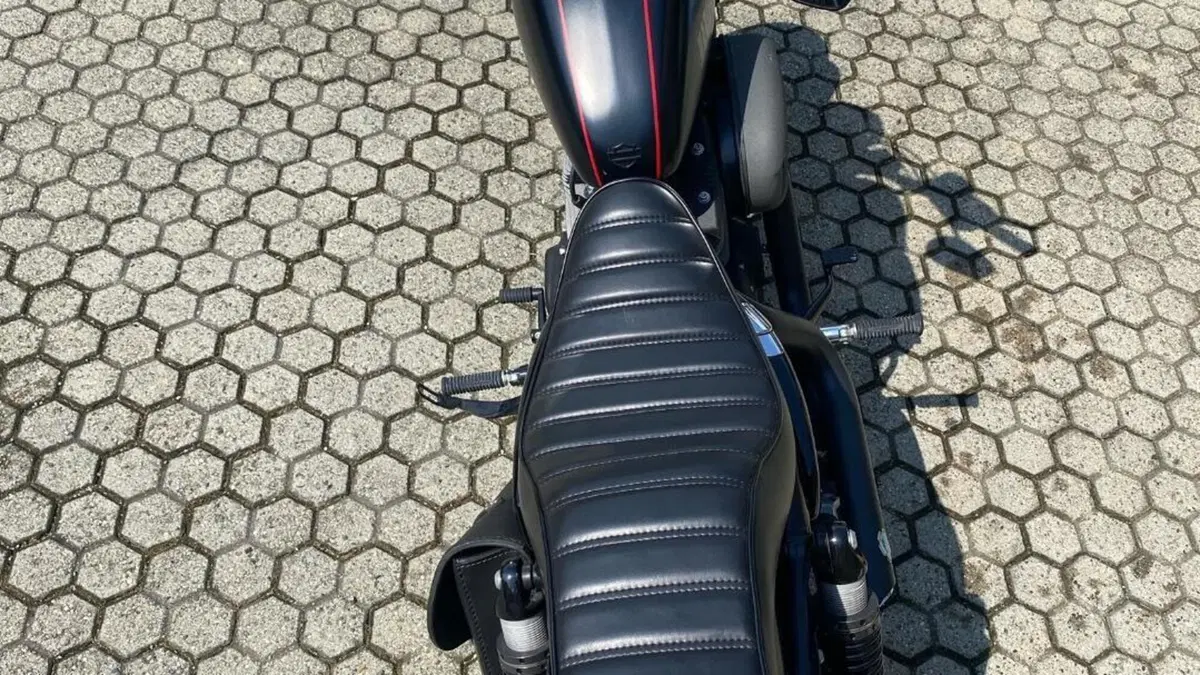 Harley-Davidson 1200 Custom (2018 - 20) - XL1200C  (4)