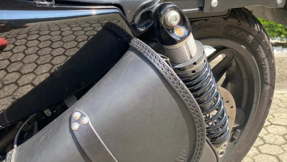 Harley-Davidson 1200 Custom (2018 - 20) - XL1200C  (6)