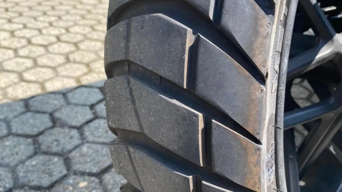 Harley-Davidson 1200 Custom (2018 - 20) - XL1200C  (12)