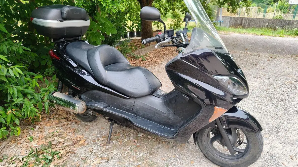 Honda Forza 250 X (2005 - 07) 