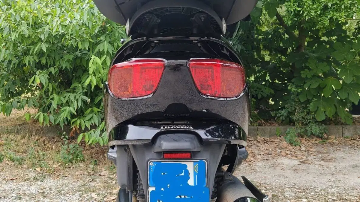 Honda Forza 250 X (2005 - 07)  (3)
