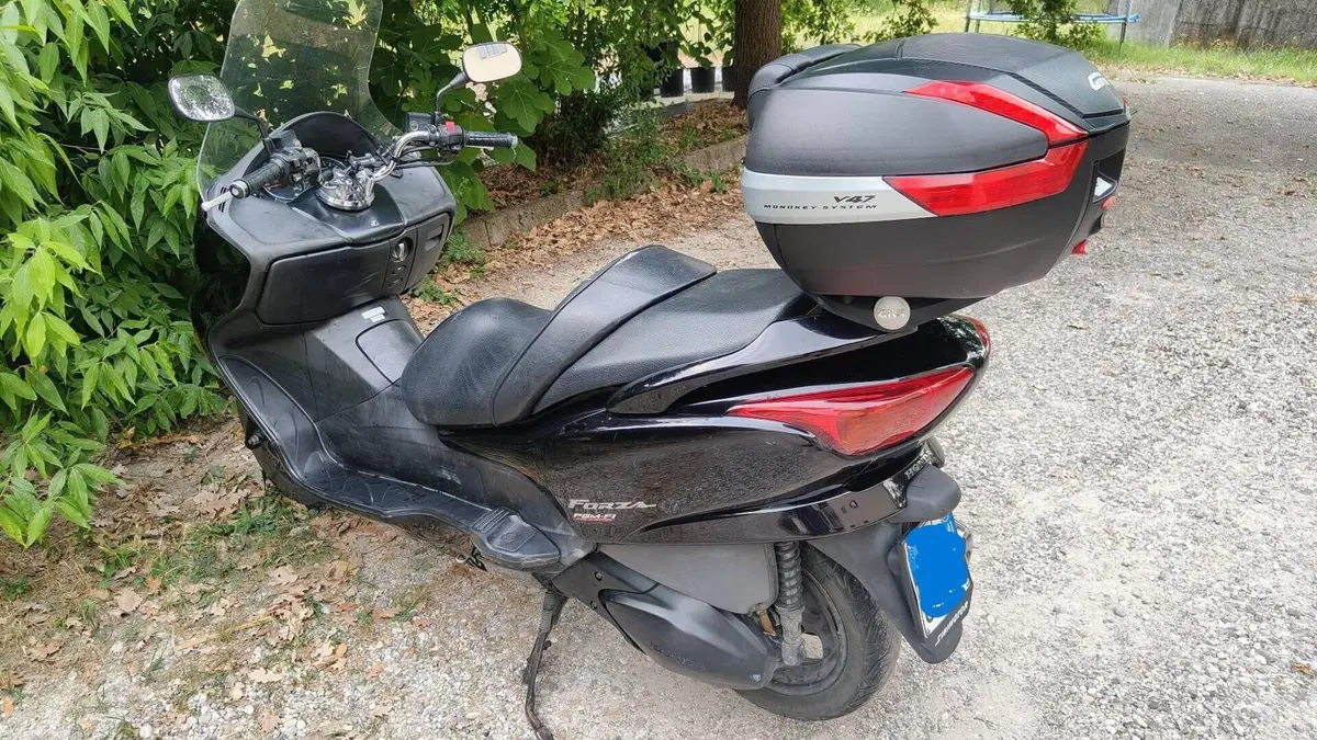Honda Forza 250 X (2005 - 07)  (4)