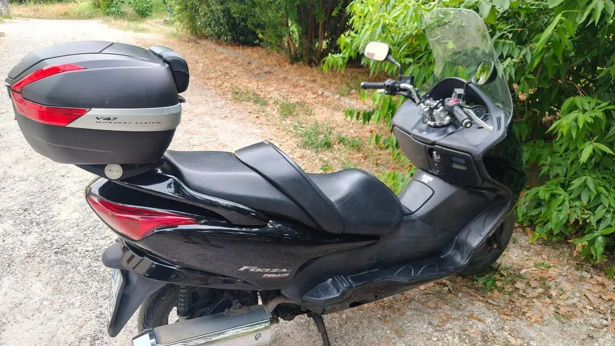 Honda Forza 250 X (2005 - 07)  (5)