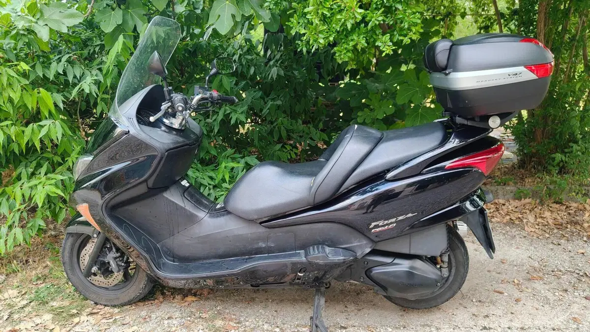 Honda Forza 250 X (2005 - 07)  (9)