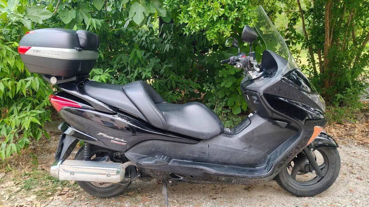 Honda Forza 250 X (2005 - 07)  (10)