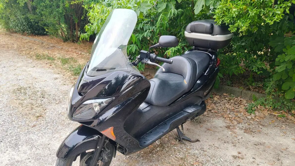 Honda Forza 250 X (2005 - 07)  (13)