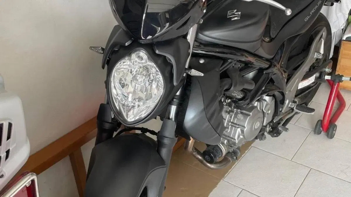 Suzuki Gladius 650 SFV ABS (2009 - 15)  (5)