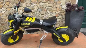 Lem Motor Beach Mad (2020 - 22) 