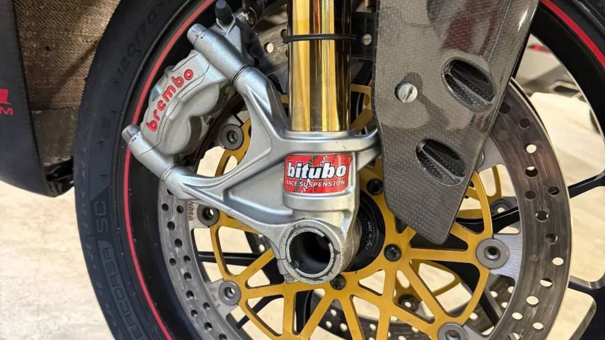 Ducati 1199 Panigale R ABS (2013 - 17)  (4)