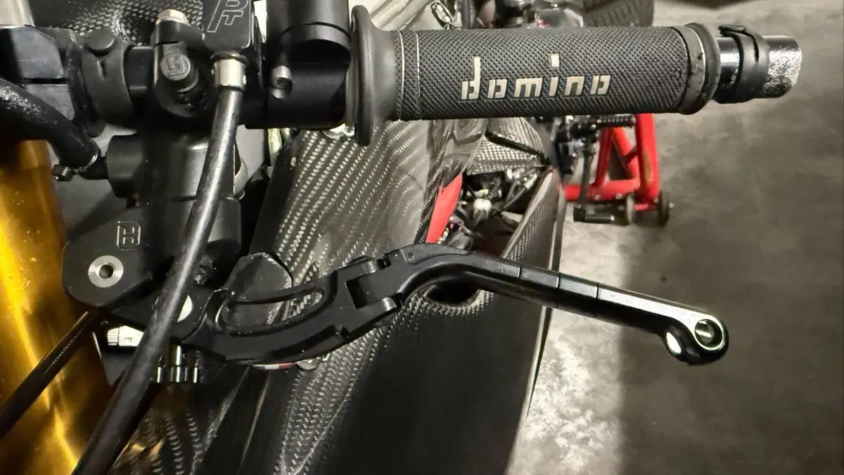 Ducati 1199 Panigale R ABS (2013 - 17)  (10)