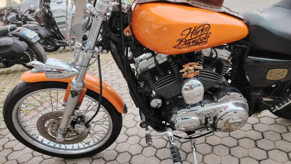 Harley-Davidson 1200 Custom (2007 - 13) - XL 1200C  (2)