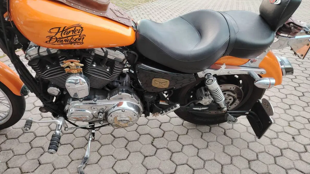 Harley-Davidson 1200 Custom (2007 - 13) - XL 1200C  (3)