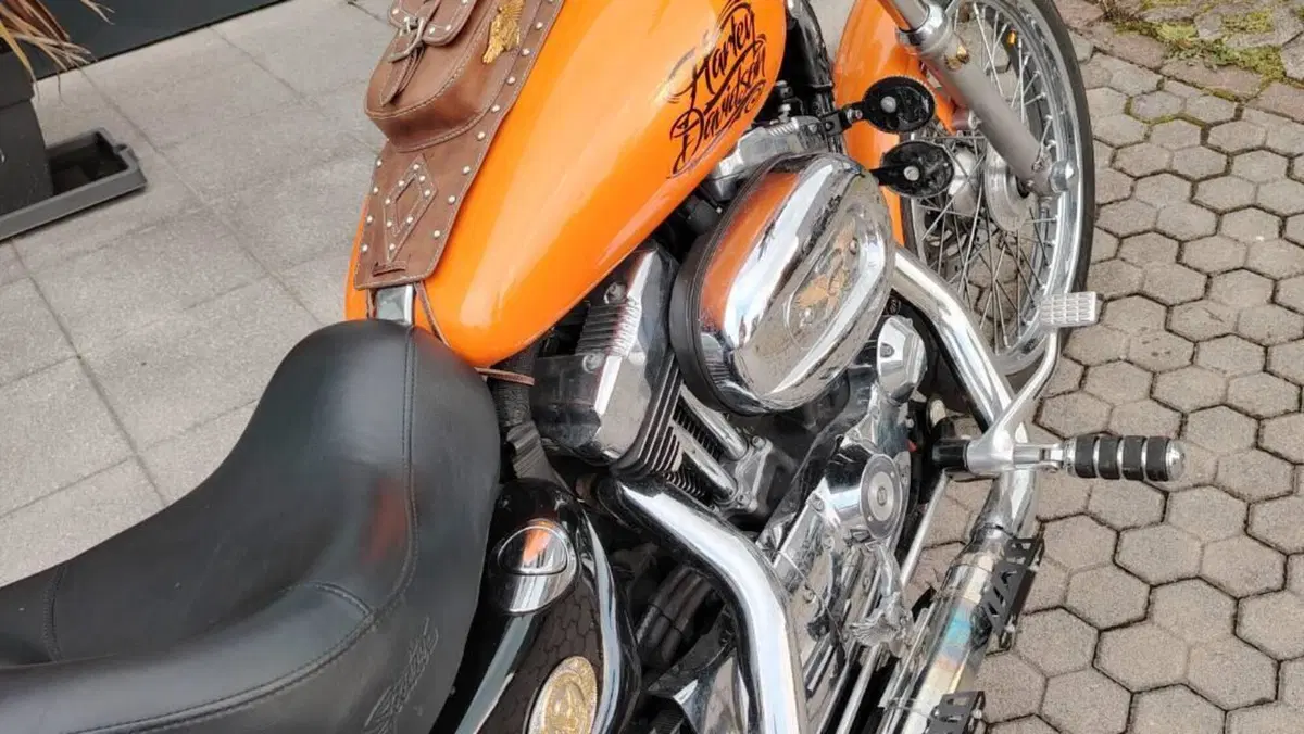 Harley-Davidson 1200 Custom (2007 - 13) - XL 1200C  (5)