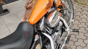 Harley-Davidson 1200 Custom (2007 - 13) - XL 1200C  (5)
