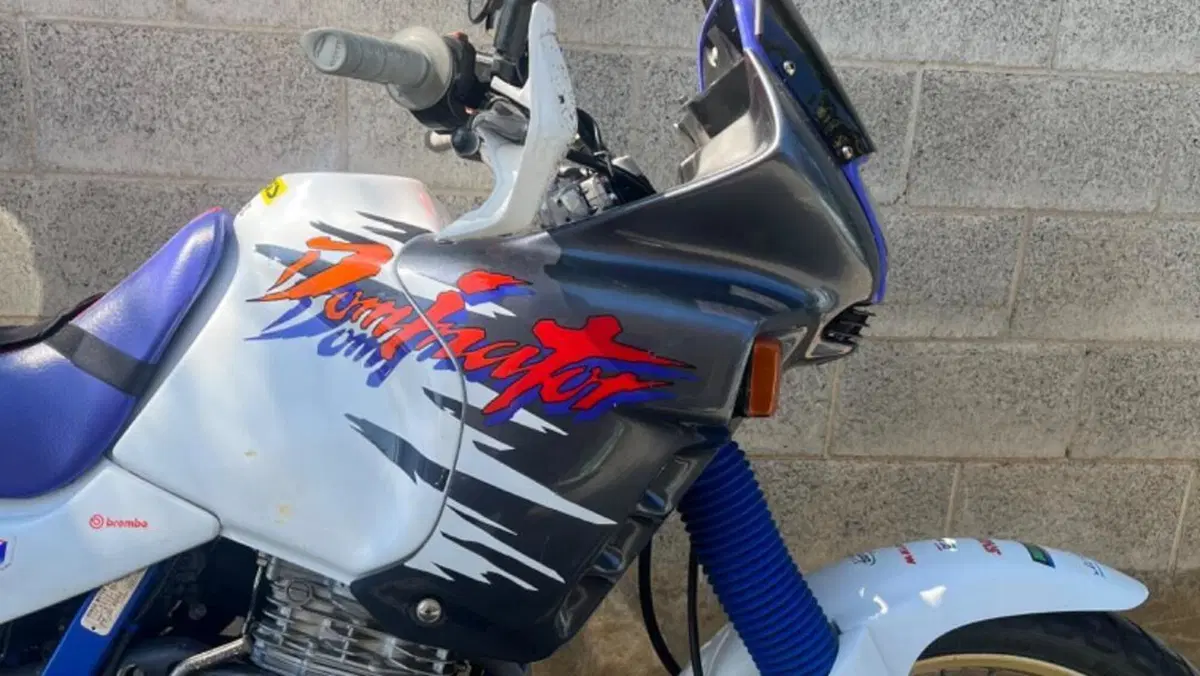 Honda NX 650 Dominator (1988 - 90)  (2)
