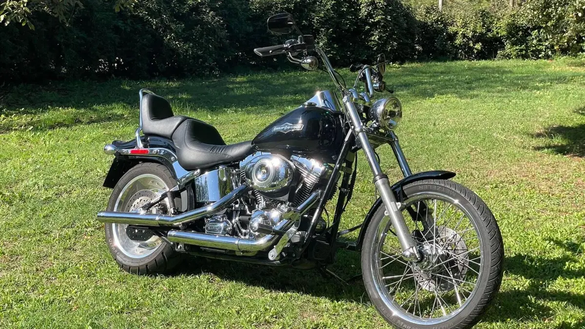 Harley-Davidson 1584 Custom (2007) - FXSTC 