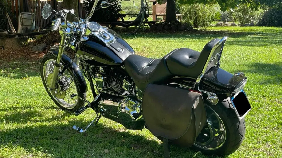Harley-Davidson 1584 Custom (2007) - FXSTC  (2)