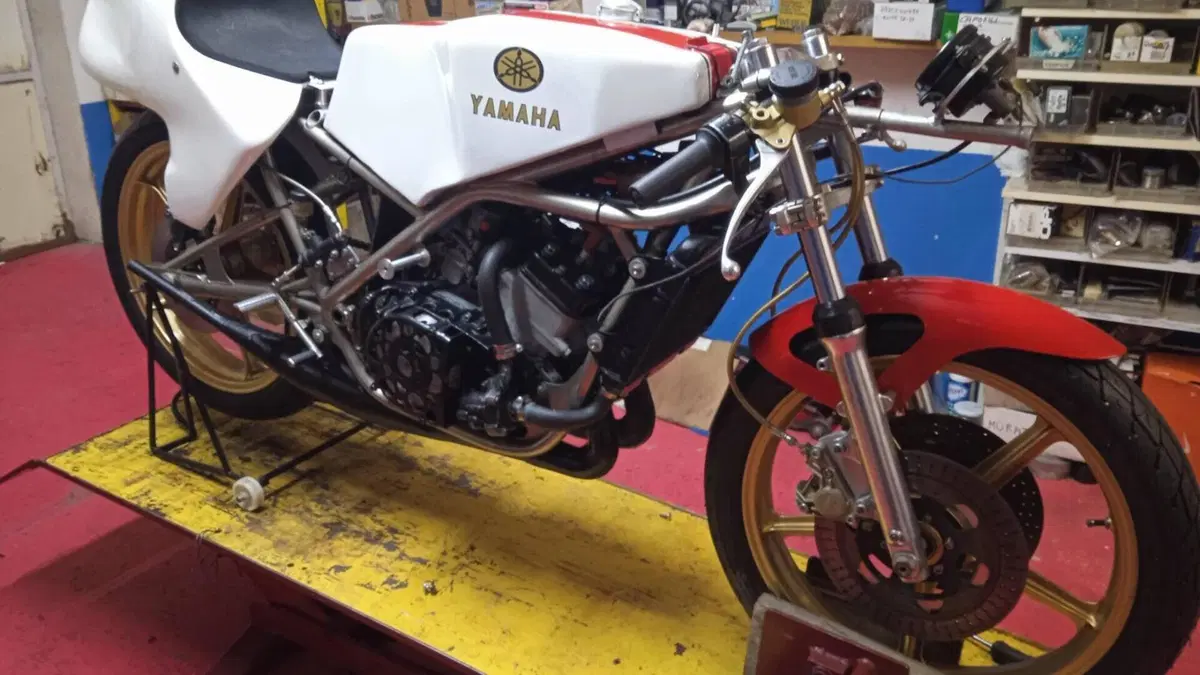 Yamaha   (7)