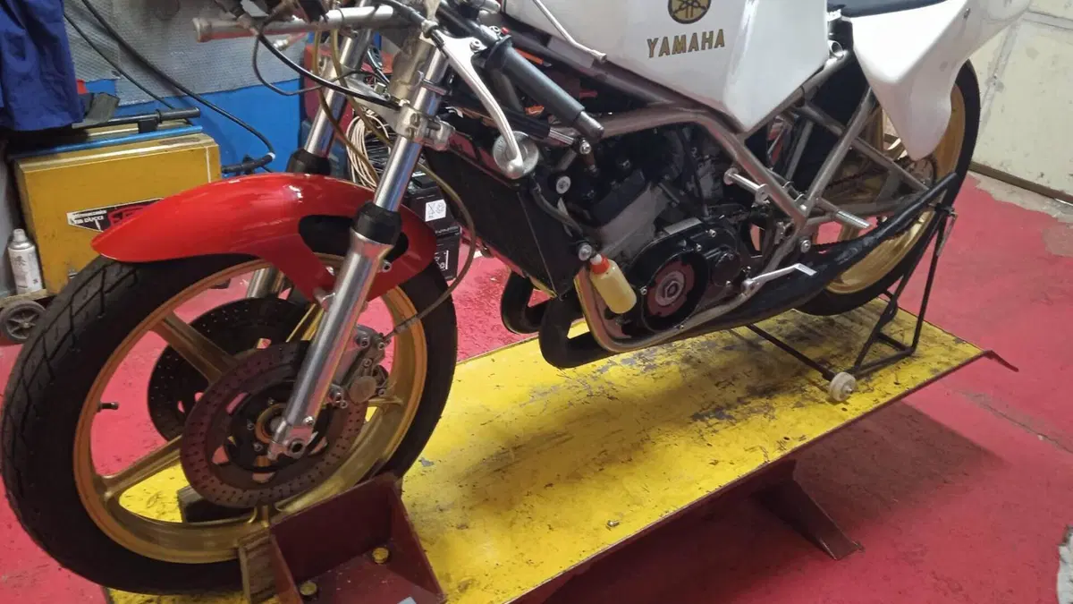 Yamaha   (8)