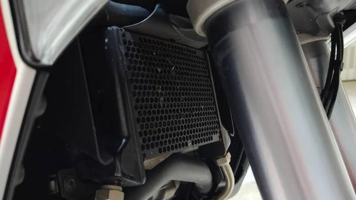 Ducati Multistrada V4 S (2021 - 24)  (5)