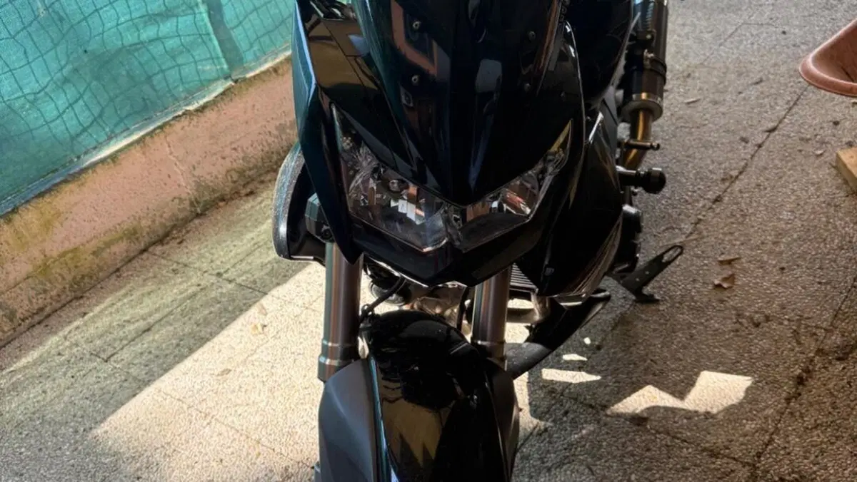 Kawasaki Z 1000 (2007 - 09)  (5)