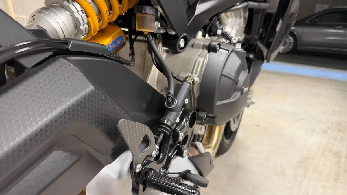 Aprilia Tuono 660 Factory (2025 - 26)  (12)