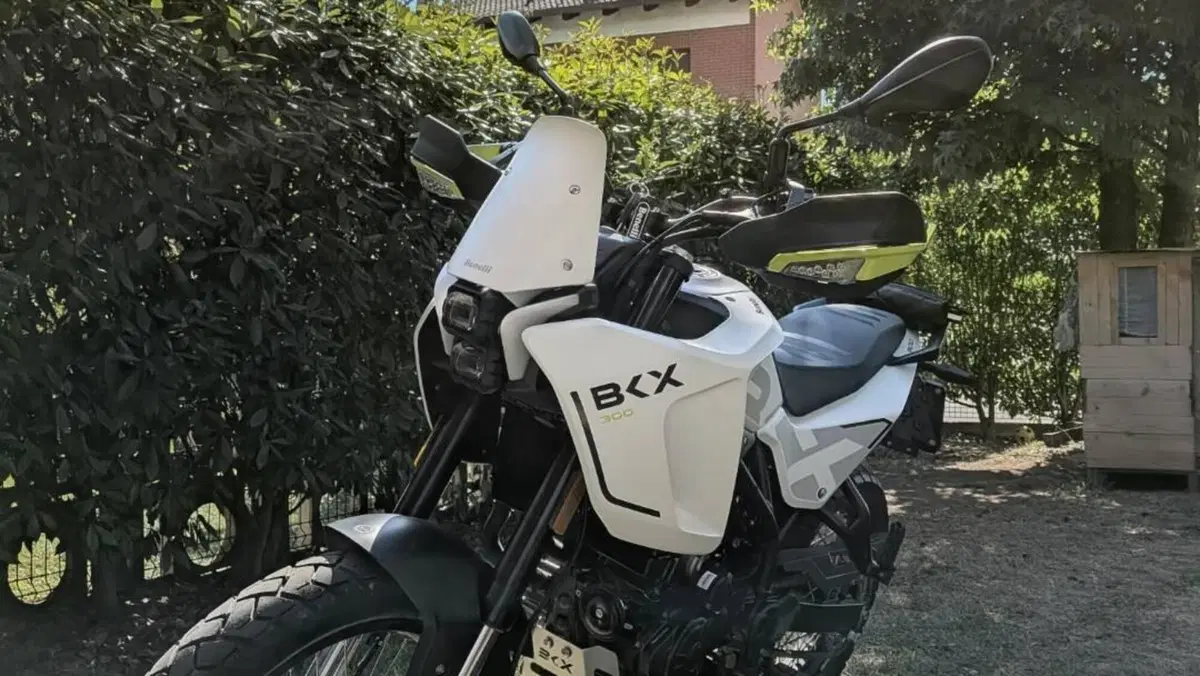 Benelli BKX 300 (2026)  (3)