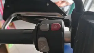 Bmw F 800 GS (2016 - 18)  (4)