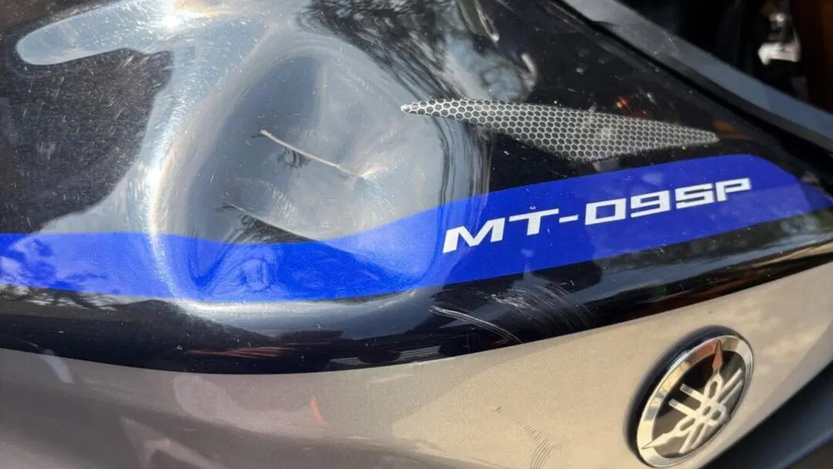 Yamaha MT-09 SP (2018 - 20)  (12)