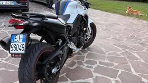 Bmw F 800 R (2017 - 20)  (3)