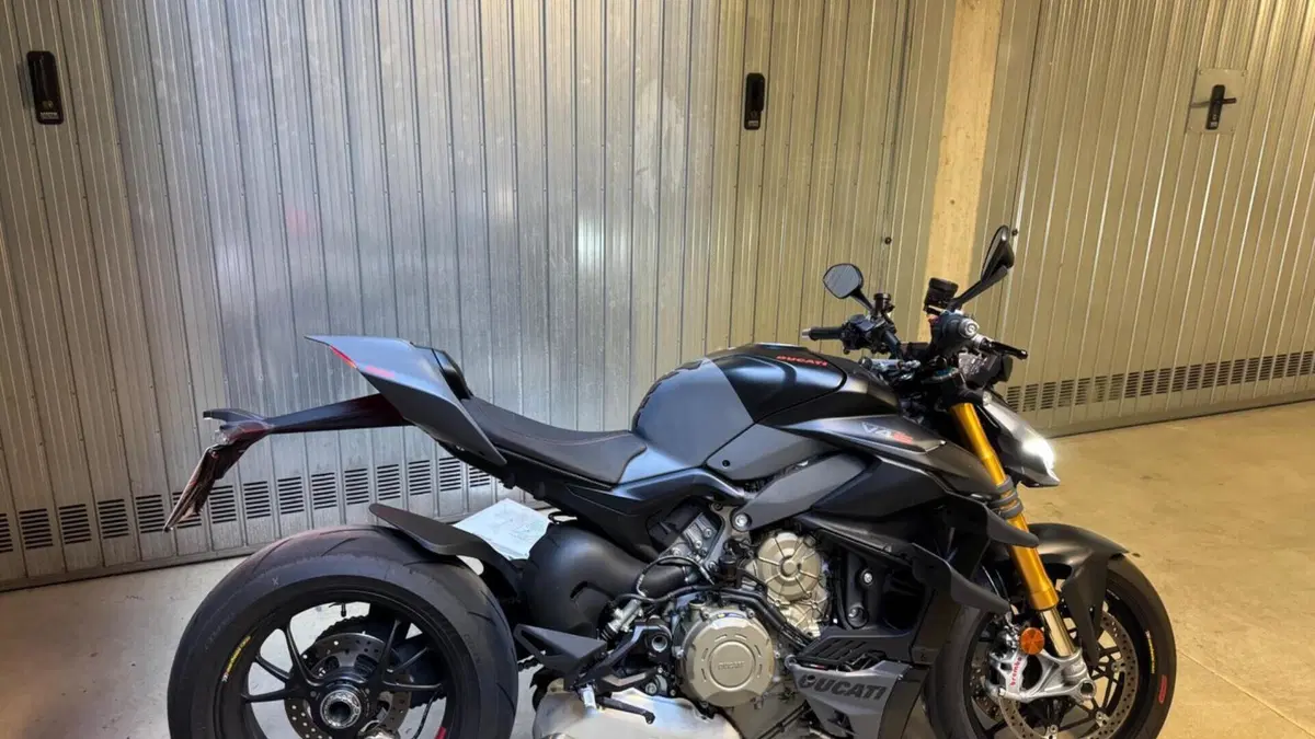 Ducati Streetfighter V4 (2023 - 24)  (3)