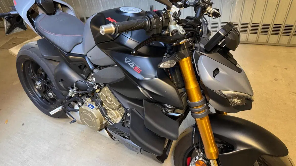 Ducati Streetfighter V4 (2023 - 24)  (8)