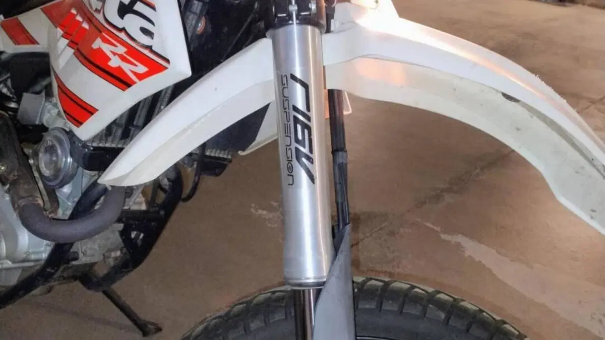 Betamotor RR 125 4T Enduro LC (2016 - 17)  (12)