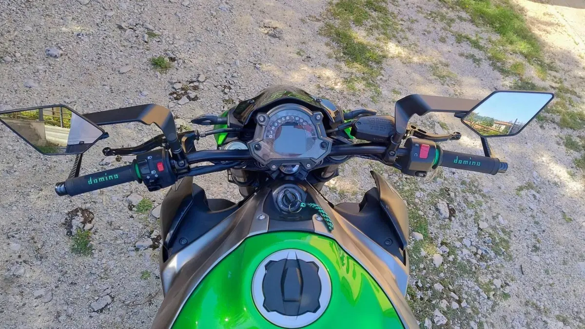 Kawasaki Z 900 (2019)  (3)