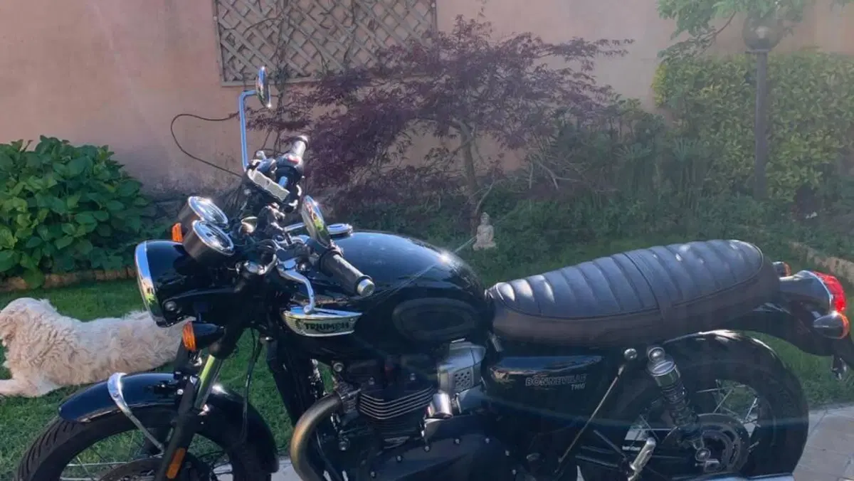 Triumph Bonneville T100 (2021 - 25)  (2)