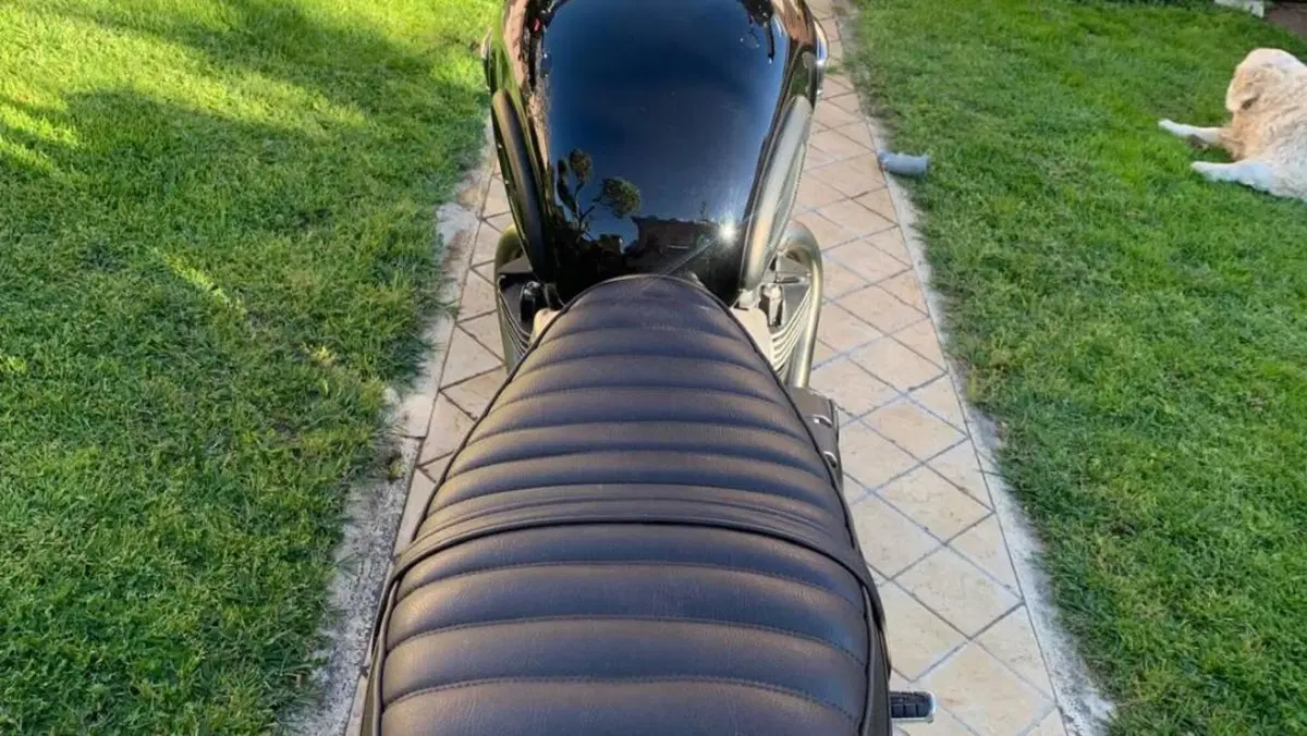 Triumph Bonneville T100 (2021 - 25)  (5)