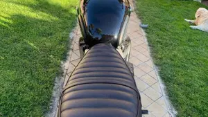 Triumph Bonneville T100 (2021 - 25)  (5)