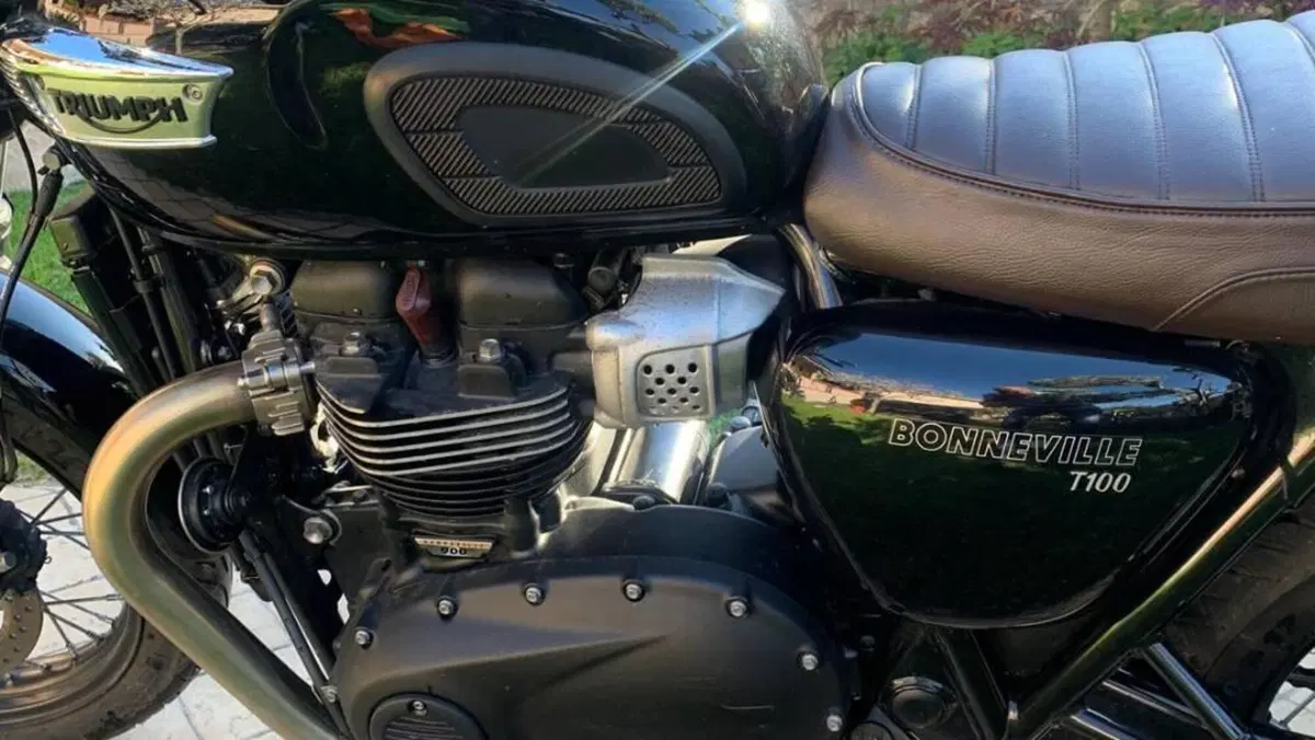 Triumph Bonneville T100 (2021 - 25)  (10)