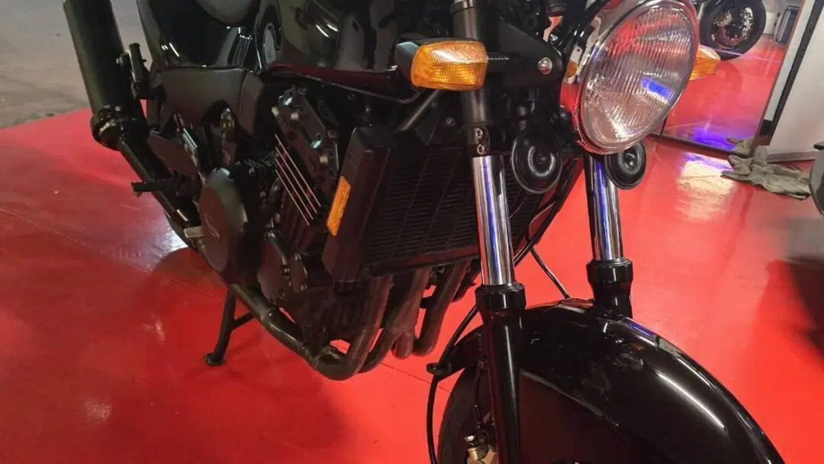 Triumph   (3)