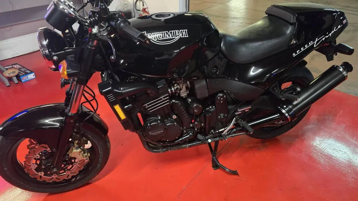 Triumph   (2)