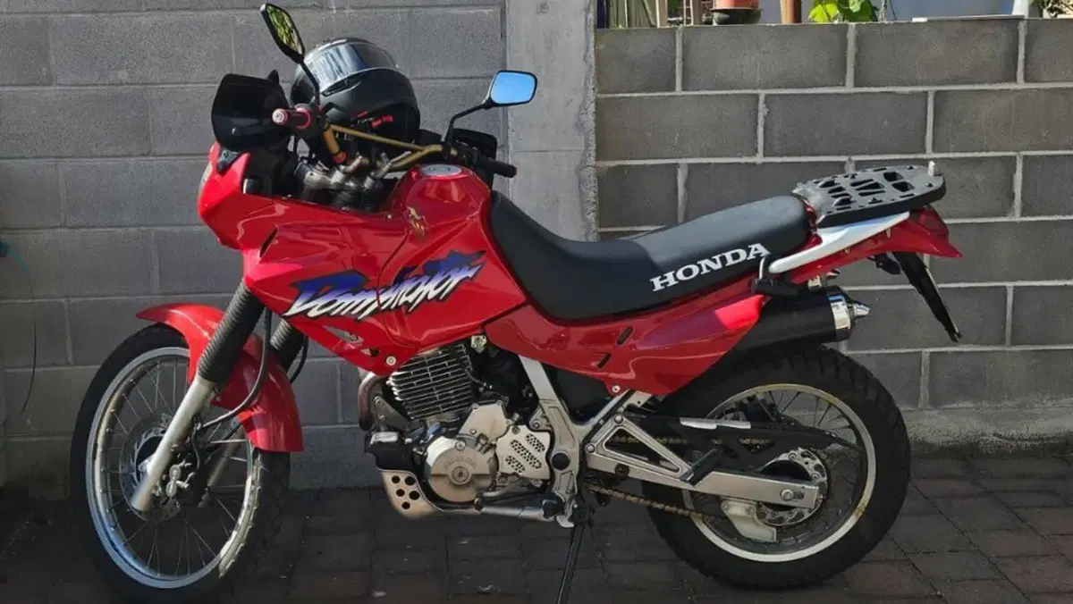 Honda NX 650 Dominator (1996 - 02)  (2)