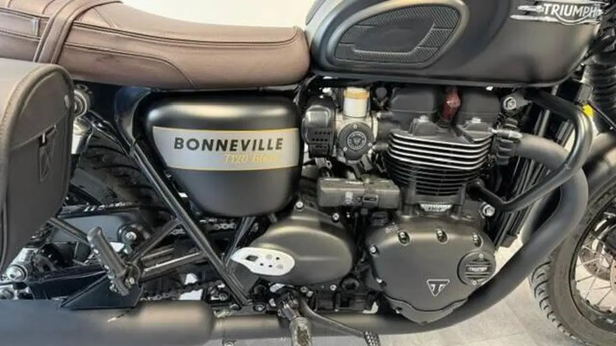 Triumph Bonneville T120 Gold Line Edition (2022 - 23)  (2)