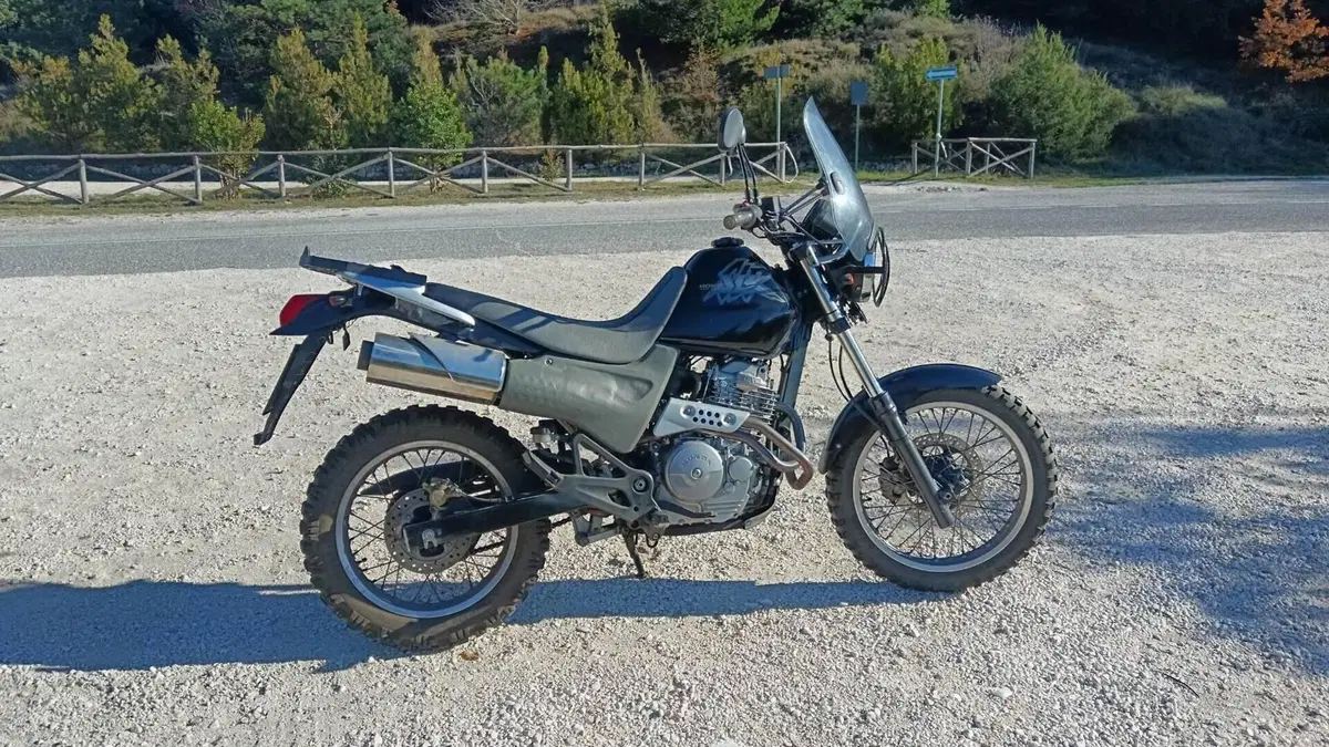 Honda SLR 650  (2)