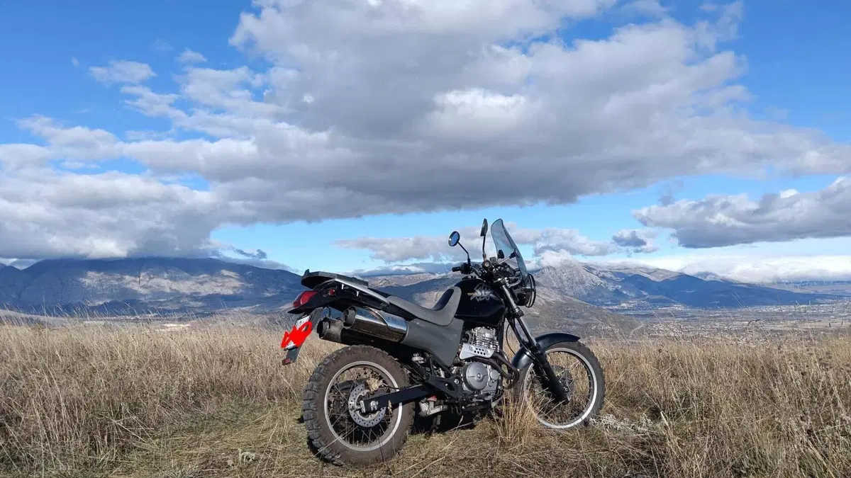 Honda SLR 650  (3)